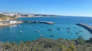 tuk-tul-albuferia-2-1-2-1-1-1-1-1-1-1-300x166 (1)